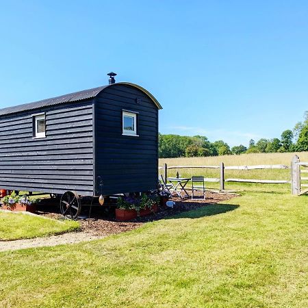 Vila Crabden Shepherd Hut - Blendworth Waterlooville Exteriér fotografie