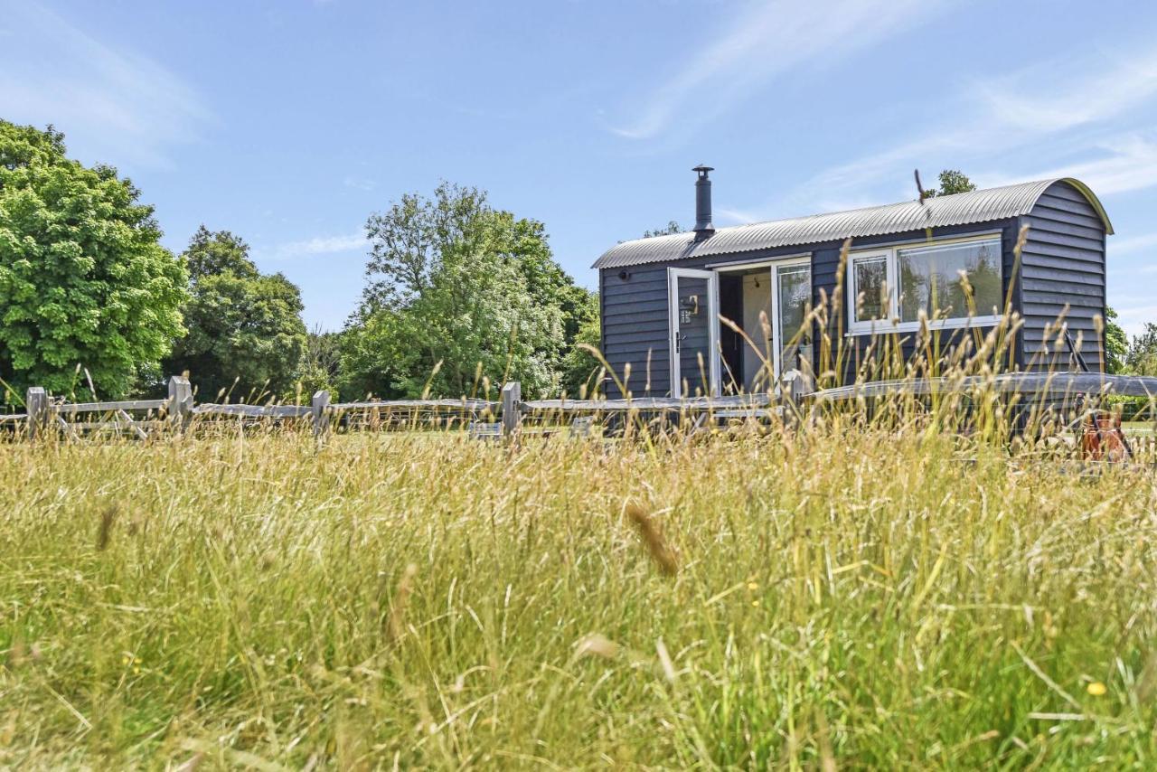 Vila Crabden Shepherd Hut - Blendworth Waterlooville Exteriér fotografie