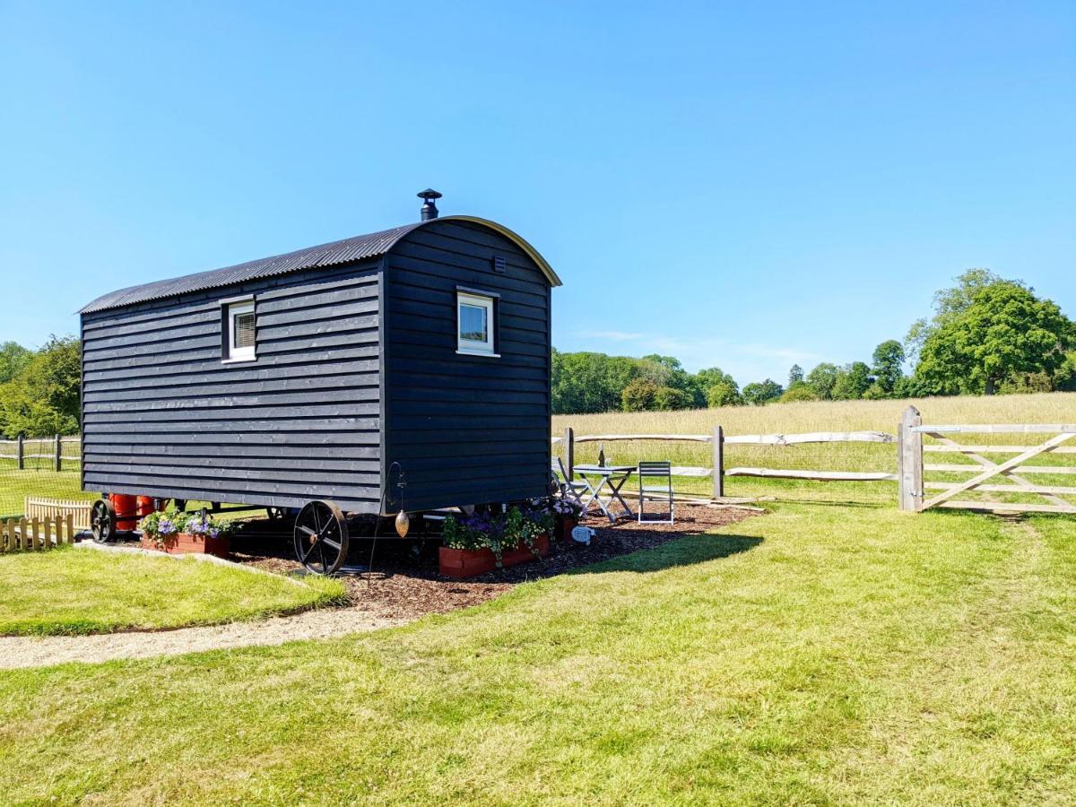 Vila Crabden Shepherd Hut - Blendworth Waterlooville Exteriér fotografie