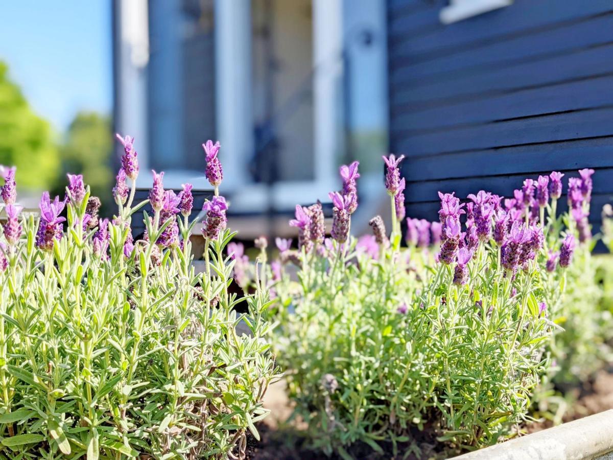 Vila Crabden Shepherd Hut - Blendworth Waterlooville Exteriér fotografie
